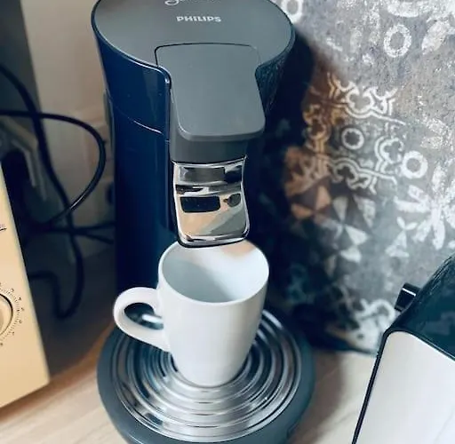 아파트 Le Tivoli Proche Du Centre 알비